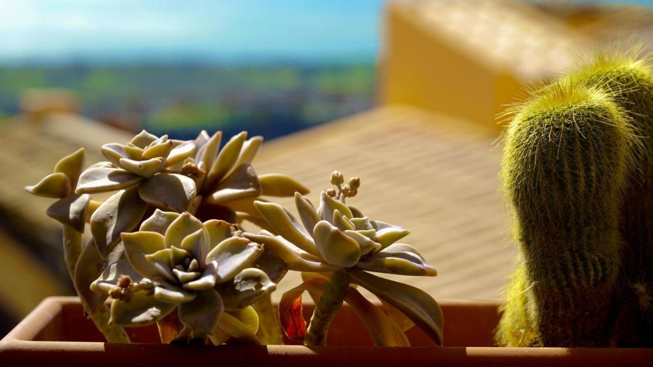 Bed and Breakfast Le Vie Di Girgenti Agrigento Exterior foto